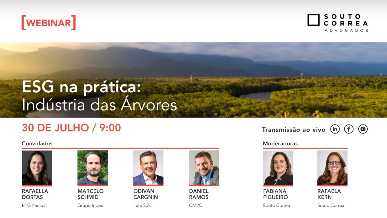 ESG na prática: Indústria das Árvores