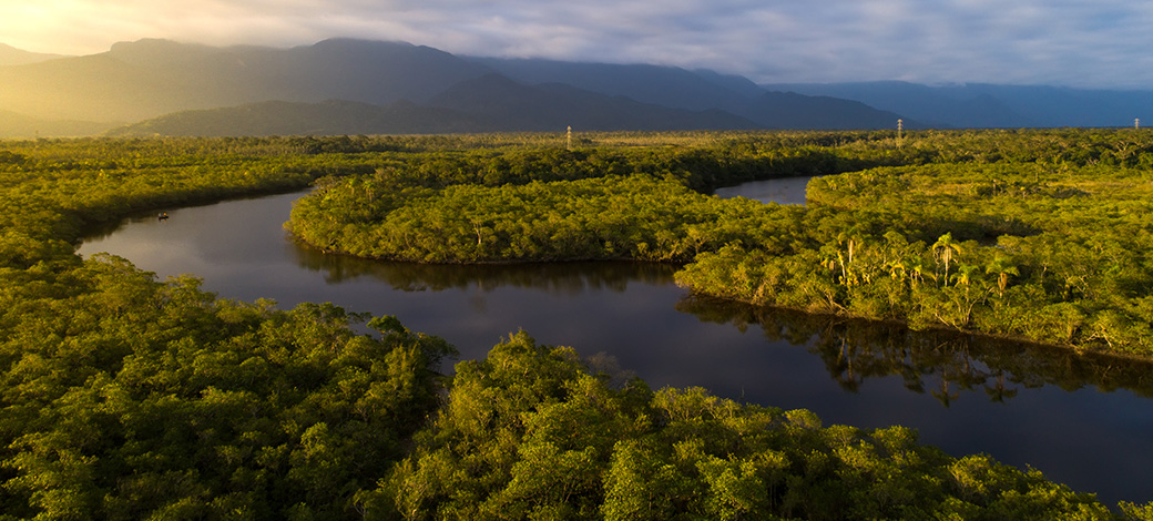 Biodiversidade: Protocolo de Nagoia é promulgado no Brasil