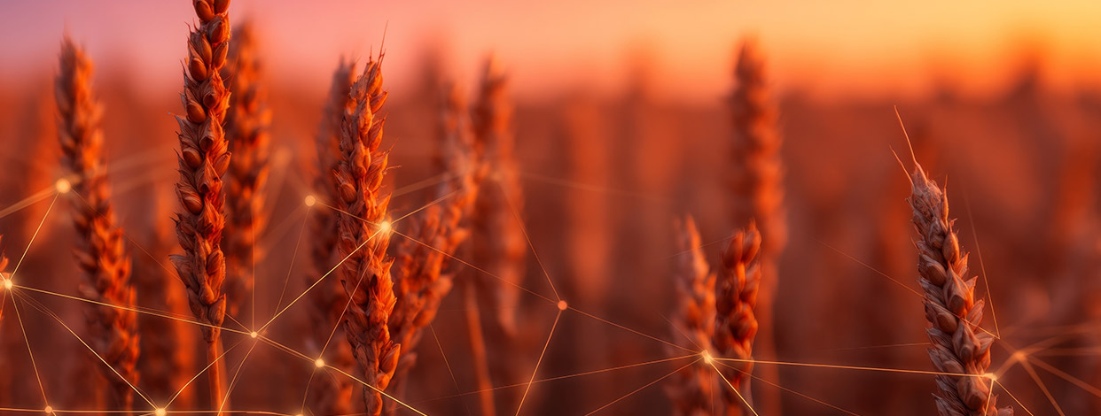 Consulta pública do PNDBio entra na 2ª etapa e define diretrizes para a bioeconomia até 2035
