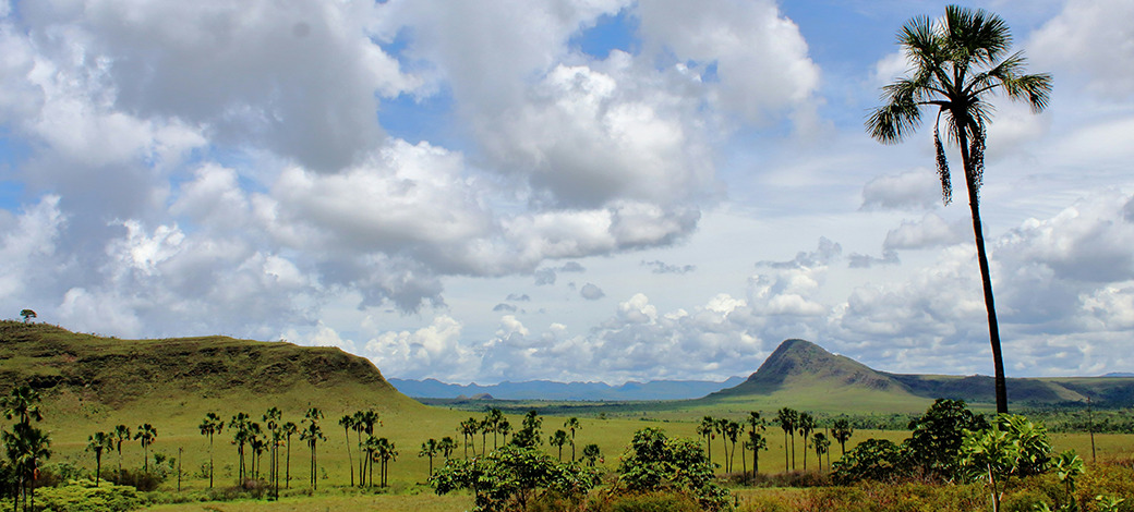 Goiás sanciona Lei nº 24.229/2026 sobre regularização fundiária de imóveis rurais de domínio do Estado