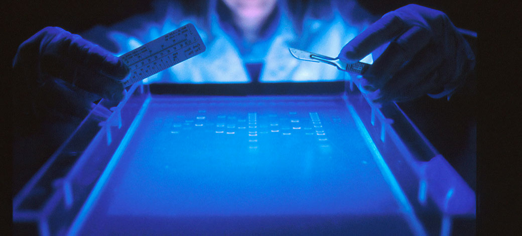 Registration of access to genetic heritage and associated traditional knowledge by foreign entities will be possible beginning in December 2026. 